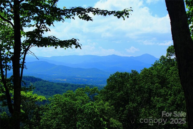 00 Marble Heights Trl Unit E11, Hendersonville, NC 28791 - photo 6
