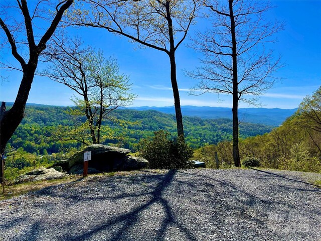 00 Marble Heights Trl Unit E11, Hendersonville, NC 28791 - photo 7