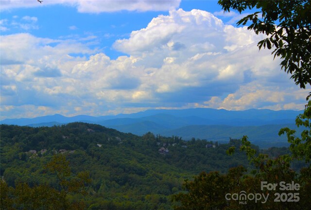 00 Marble Heights Trl Unit E11, Hendersonville, NC 28791 - photo 2