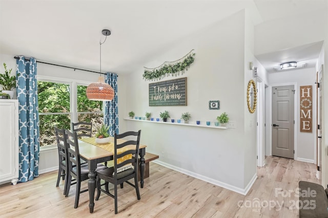 27037 Tidal Way, Tega Cay, SC 29708 - dining area featuring light wood-style floors and baseboards