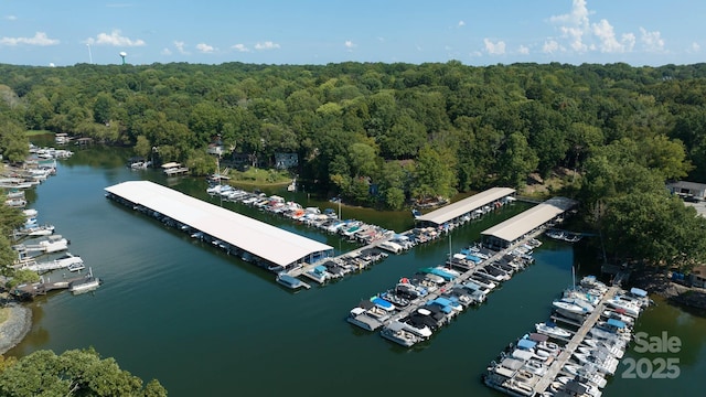 27037 Tidal Way, Tega Cay, SC 29708 - bird's eye view of a heavily wooded area, a marina, and a nearby body of water