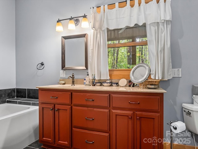 917 Otter Mountain Rd, Topton, NC 28781 - bathroom featuring a garden tub, vanity, and toilet