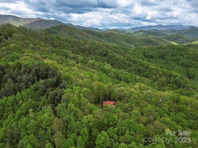 917 Otter Mountain Rd, Topton, NC 28781 - drone / aerial view of a heavily wooded area and mountains