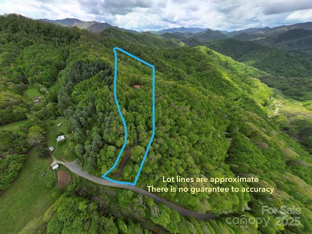 917 Otter Mountain Rd, Topton, NC 28781 - view of property location featuring property parcel outlined, a mountain backdrop, and a heavily wooded area