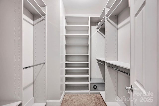 view of spacious closet