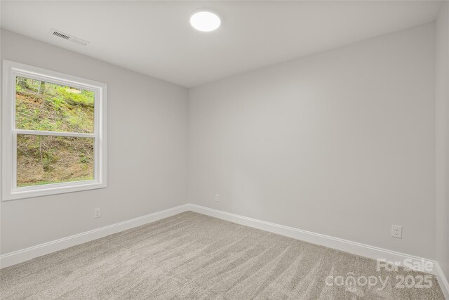 260 Cotton Top Dr, Brevard, NC 28712 - photo 9