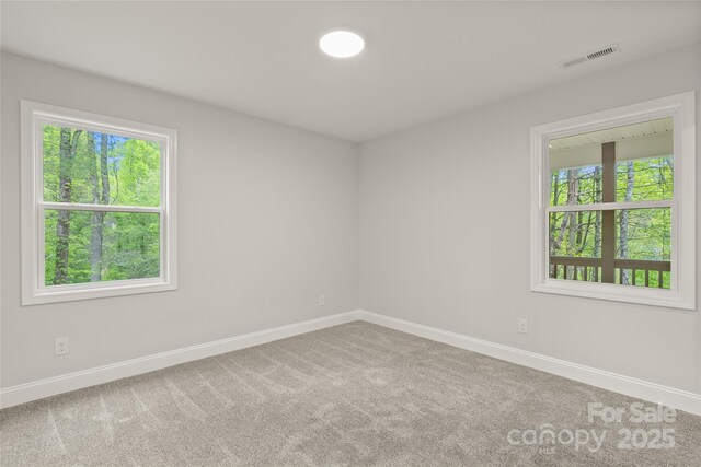 260 Cotton Top Dr, Brevard, NC 28712 - photo 11