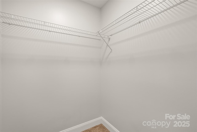 260 Cotton Top Dr, Brevard, NC 28712 - photo 13