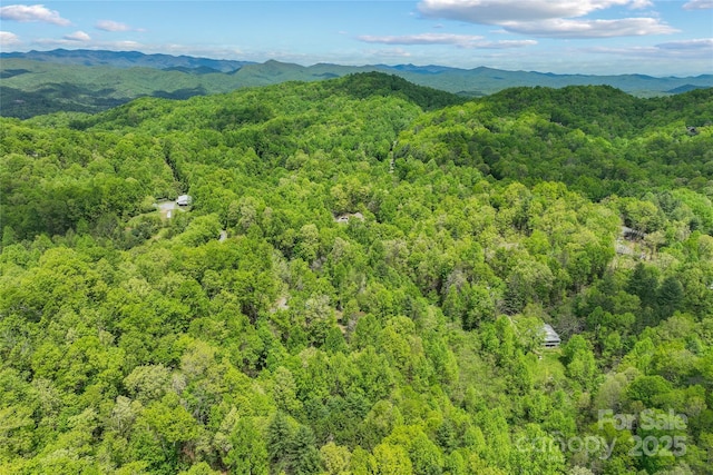 260 Cotton Top Dr, Brevard, NC 28712 - photo 26