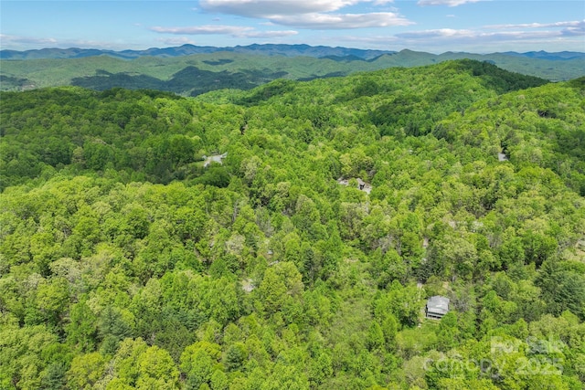 260 Cotton Top Dr, Brevard, NC 28712 - photo 27