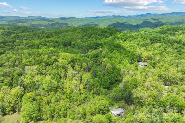 260 Cotton Top Dr, Brevard, NC 28712 - photo 28