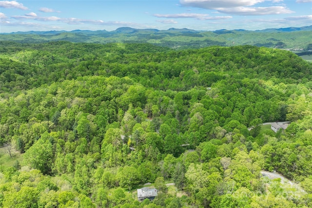 260 Cotton Top Dr, Brevard, NC 28712 - photo 29