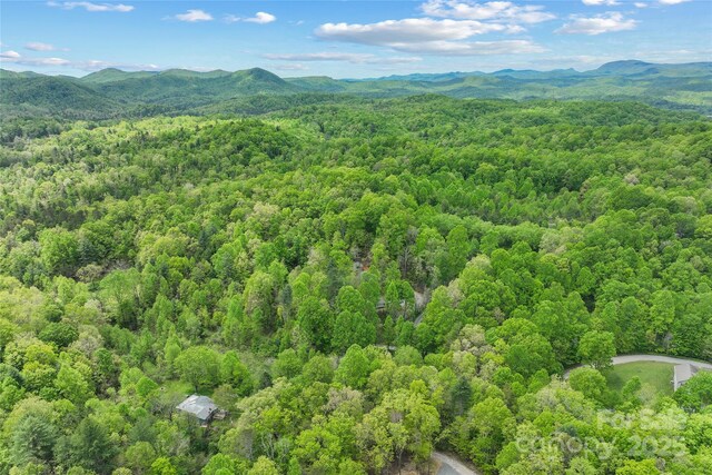 260 Cotton Top Dr, Brevard, NC 28712 - photo 30