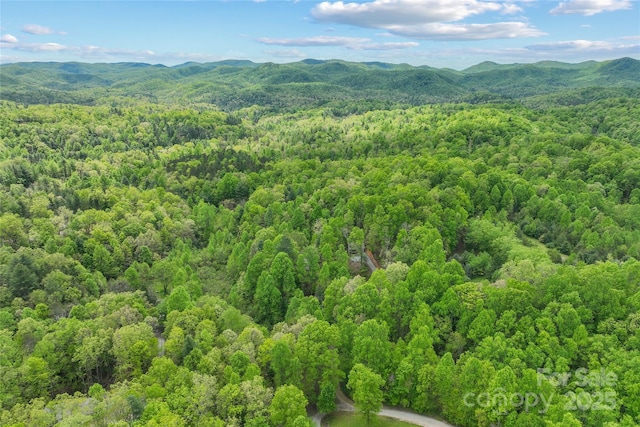260 Cotton Top Dr, Brevard, NC 28712 - photo 31
