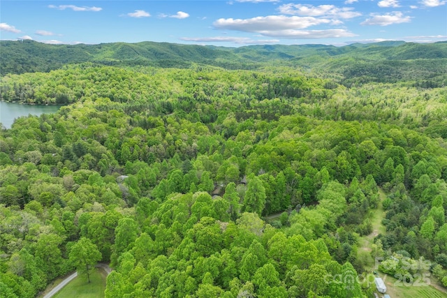 260 Cotton Top Dr, Brevard, NC 28712 - photo 32