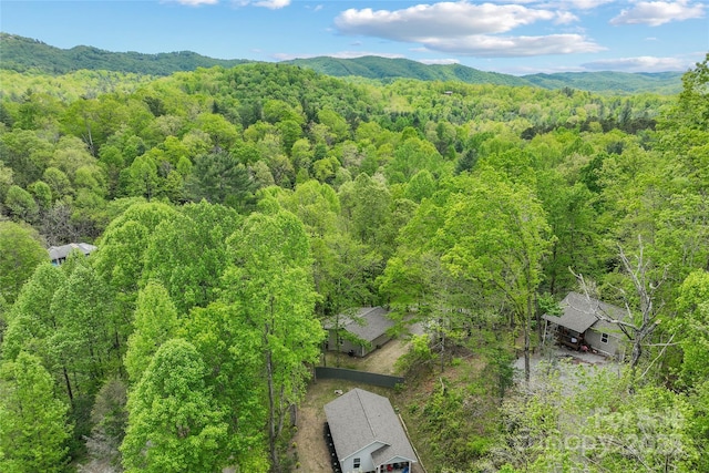 260 Cotton Top Dr, Brevard, NC 28712 - photo 33
