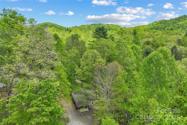 260 Cotton Top Dr, Brevard, NC 28712 - photo 34