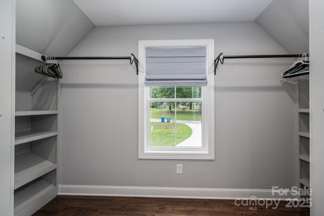 walk in closet featuring vaulted ceiling and dark wood-type flooring