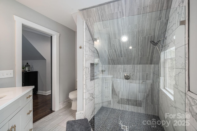 full bathroom with vanity, toilet, and a walk in shower