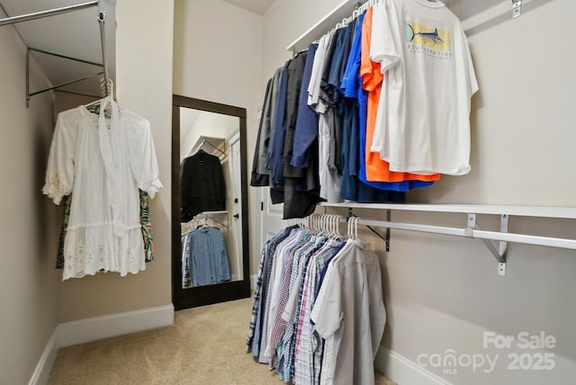 15714 Laurel Oak Cres, Davidson, NC 28036 - spacious closet featuring carpet floors