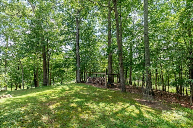 230 Foxwood Dr, Hendersonville, NC 28791 - photo 38