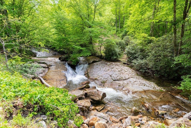 307 Five Star Dr, Glenville, NC 28736 - view of woods