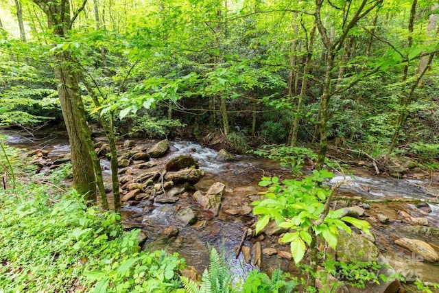 307 Five Star Dr, Glenville, NC 28736 - view of nature