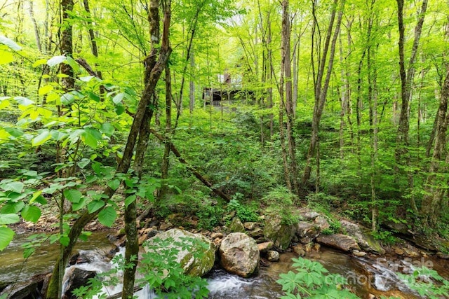 307 Five Star Dr, Glenville, NC 28736 - view of tree filled area