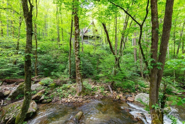 307 Five Star Dr, Glenville, NC 28736 - view of wooded area