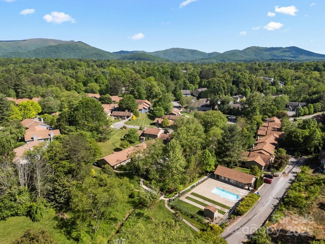 38 Morning Glory Dr Unit A, Asheville, NC 28805 - photo 28