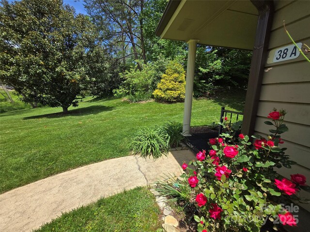 38 Morning Glory Dr Unit A, Asheville, NC 28805 - photo 4