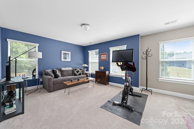 3615 Alamito Ln, Charlotte, NC 28214 - workout room featuring carpet flooring, healthy amount of natural light, and baseboards