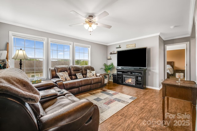 14 Phoenix Cir, Alexander, NC 28701 - living room featuring a ceiling fan, ornamental molding, wood finished floors, baseboards, and a glass covered fireplace