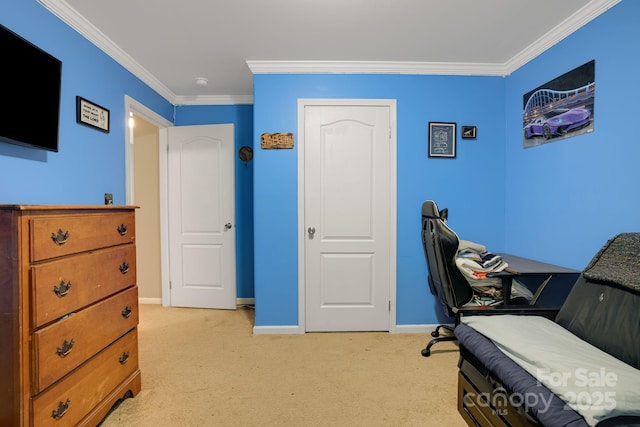 14 Phoenix Cir, Alexander, NC 28701 - office with crown molding, light carpet, and baseboards