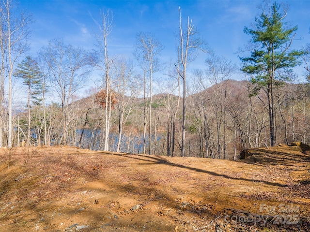 LOT156 Mandolin Ct Unit 156, Tuckasegee, NC 28783