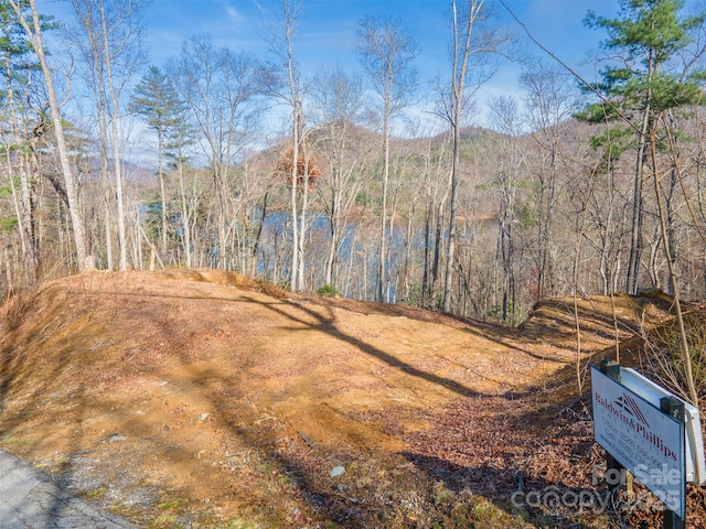 LOT156 Mandolin Ct Unit 156, Tuckasegee, NC 28783