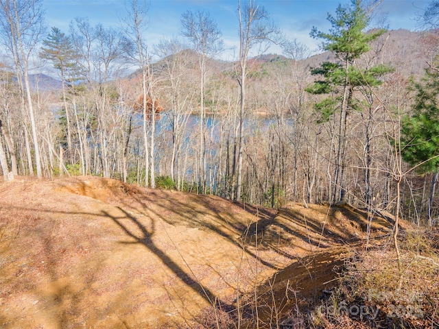 LOT156 Mandolin Ct Unit 156, Tuckasegee, NC 28783
