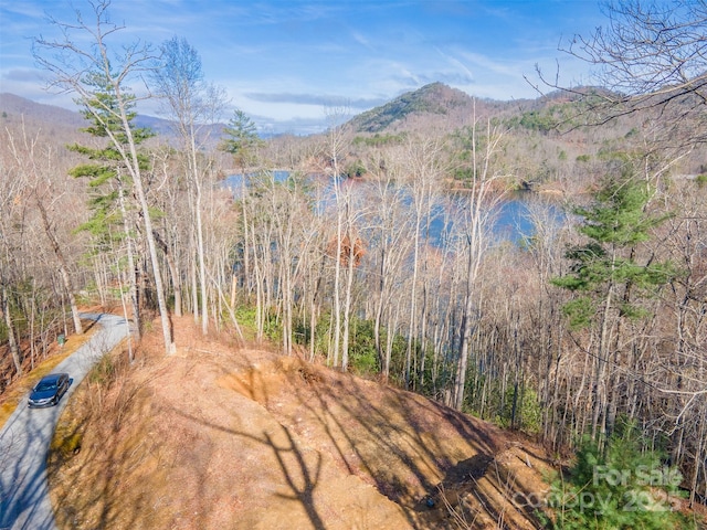 LOT156 Mandolin Ct Unit 156, Tuckasegee, NC 28783