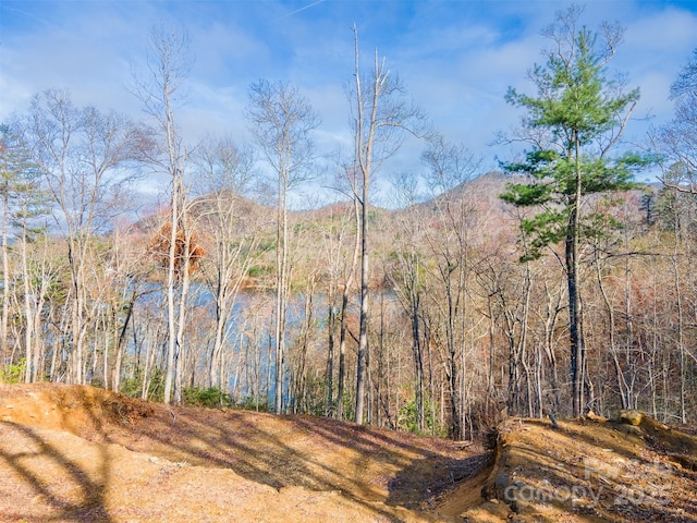 LOT156 Mandolin Ct Unit 156, Tuckasegee, NC 28783