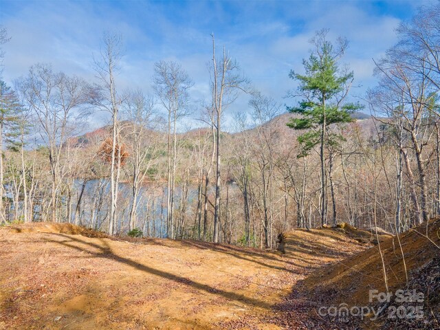 LOT156 Mandolin Ct Unit 156, Tuckasegee, NC 28783