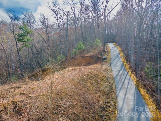 LOT156 Mandolin Ct Unit 156, Tuckasegee, NC 28783