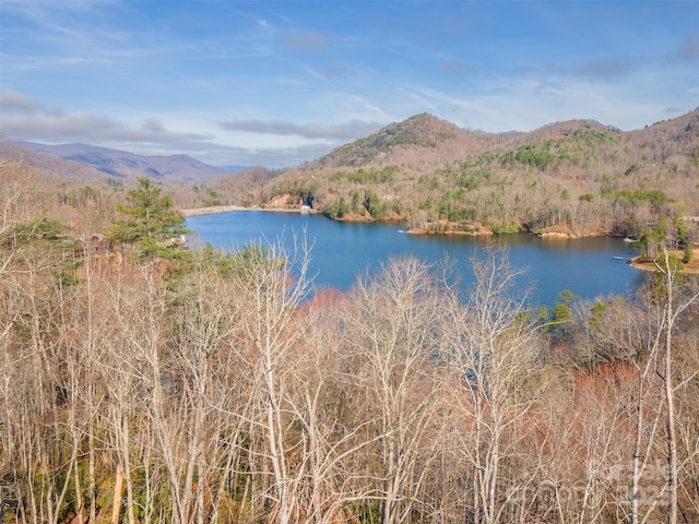 LOT156 Mandolin Ct Unit 156, Tuckasegee, NC 28783