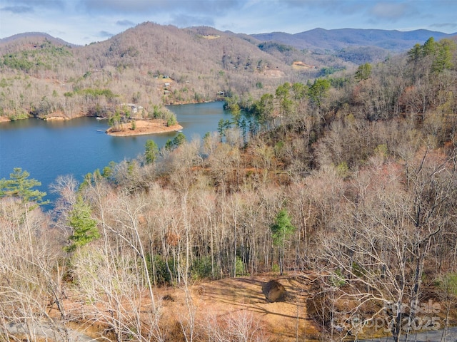 LOT156 Mandolin Ct Unit 156, Tuckasegee, NC 28783