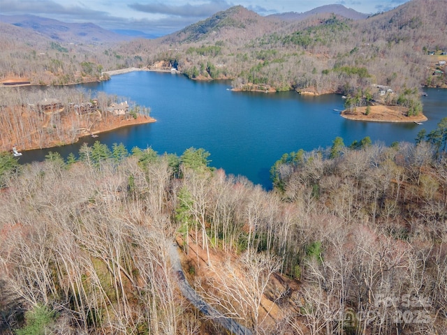 LOT156 Mandolin Ct Unit 156, Tuckasegee, NC 28783