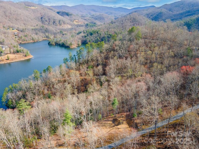 LOT156 Mandolin Ct Unit 156, Tuckasegee, NC 28783