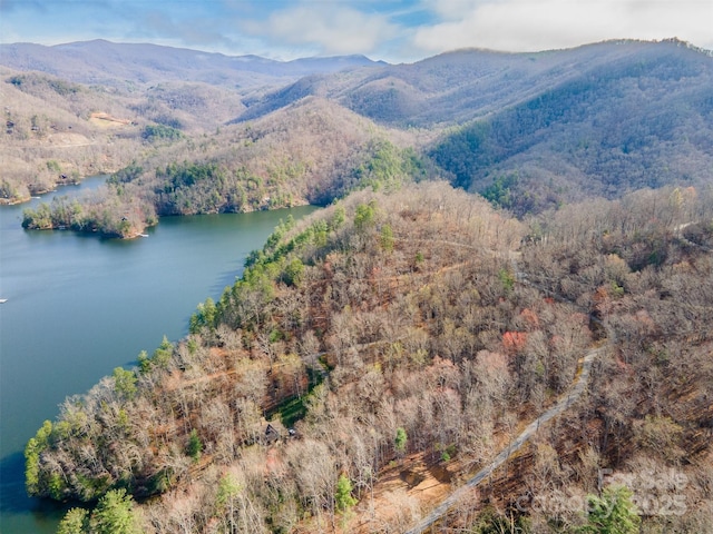 LOT156 Mandolin Ct Unit 156, Tuckasegee, NC 28783