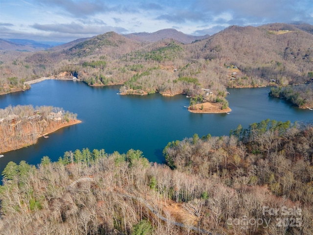 LOT156 Mandolin Ct Unit 156, Tuckasegee, NC 28783