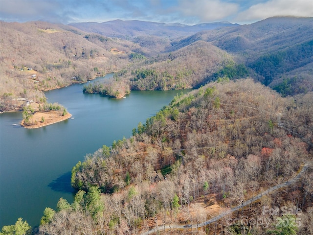 LOT156 Mandolin Ct Unit 156, Tuckasegee, NC 28783