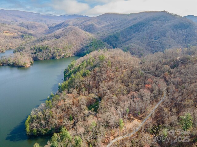 LOT156 Mandolin Ct Unit 156, Tuckasegee, NC 28783