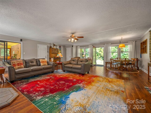 living area with hardwood / wood-style floors, a textured ceiling, a ceiling fan, and ornamental molding